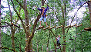 6086c99f bali treetop adventure park